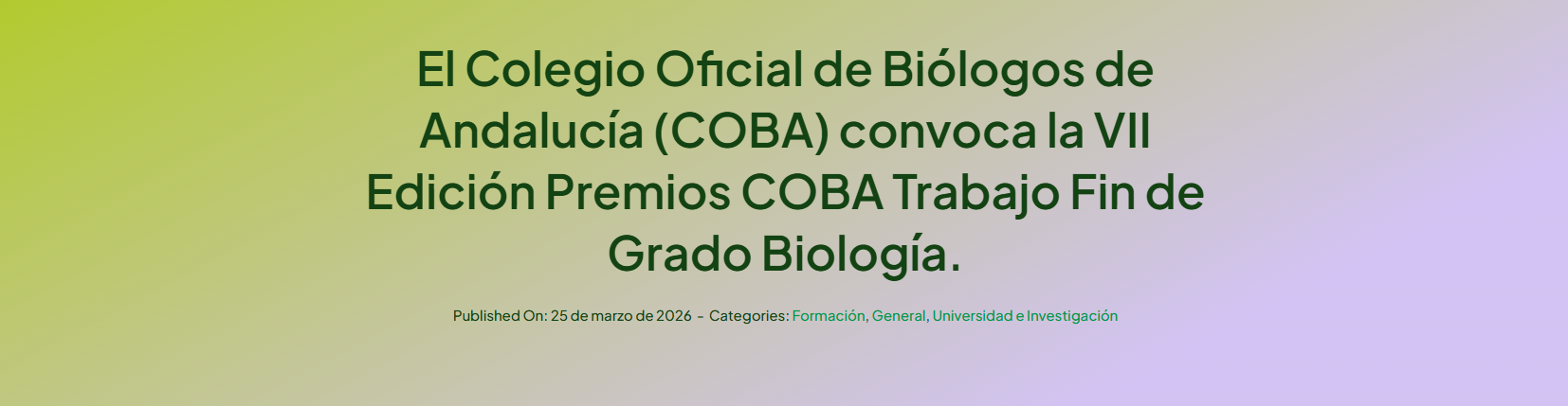 VII Edición Premios COBA