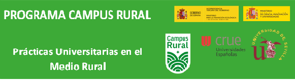 Convocatoria Becas Campus Rural 2024